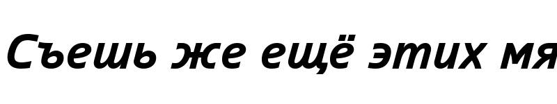 Preview of Arian AMU Bold Italic