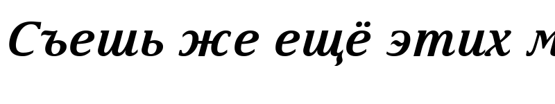 Preview of Arian AMU Serif Bold Italic