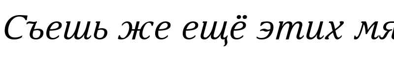Preview of Arian AMU Serif Italic