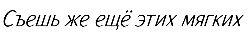 Preview of ArtemiusSans SN Light TT Regular Italic