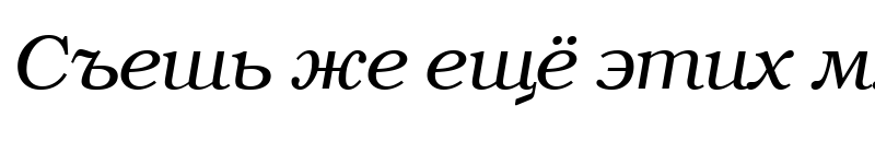 Preview of BookmanC Italic