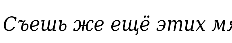 Preview of DejaVu Serif Condensed Italic