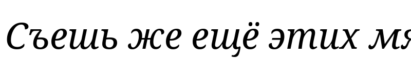 Preview of Droid Serif Italic