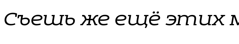 Preview of Echoes Slab Light Italic
