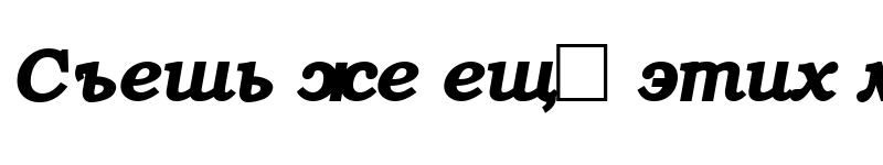 Preview of ER Bukinist 1251 Bold Italic