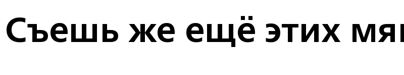 Preview of Frutiger Neue LT W1G Bold