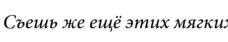 Preview of Mignon Medium Italic