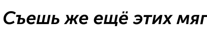 Preview of Museo Sans Cyrl 700 Italic
