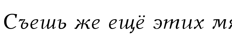 Preview of NewJournalC Italic