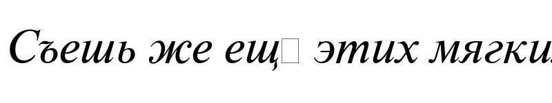 Preview of NewtonCTT Italic