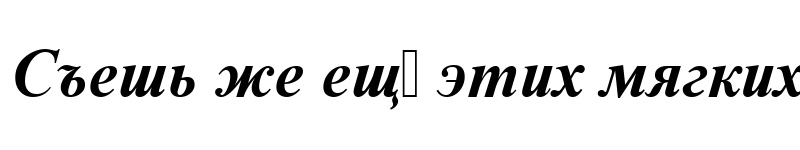Preview of NimbusRomDCY Bold Italic