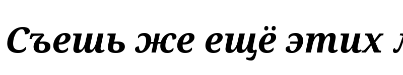 Preview of Noto Serif Bold Italic