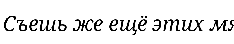 Preview of Noto Serif Italic