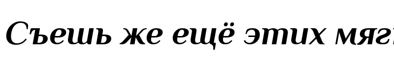 Preview of Philosopher Bold Italic