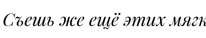 Preview of Playfair Display Italic