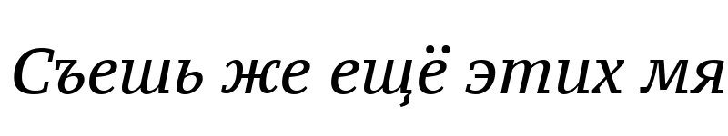 Preview of PT Serif Caption Italic