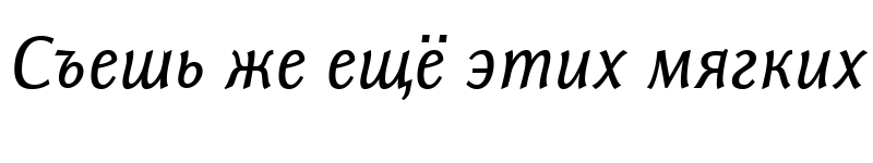 Preview of Resavska BG Sans Italic