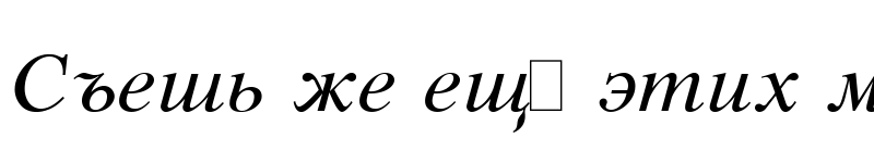 Preview of Respect Italic