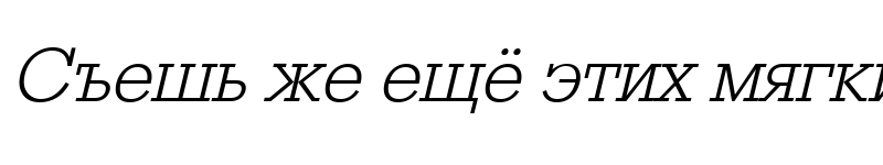 Preview of RodeoLight italic