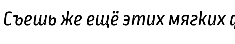 Preview of Ropa Sans PTT Italic