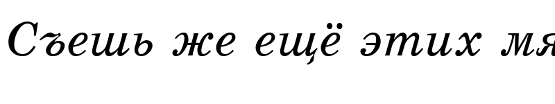 Preview of SchoolBook Italic Cyrillic