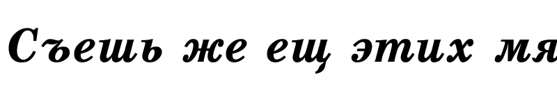 Preview of SchoolDL Bold Italic