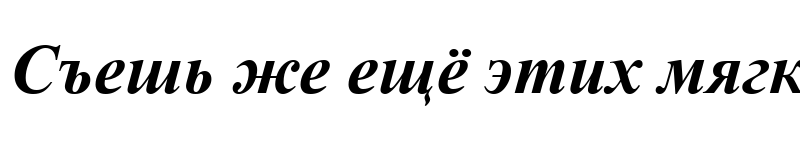 Preview of Times New Roman Bold Italic