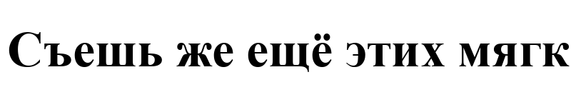 Preview of Times New Roman Bold