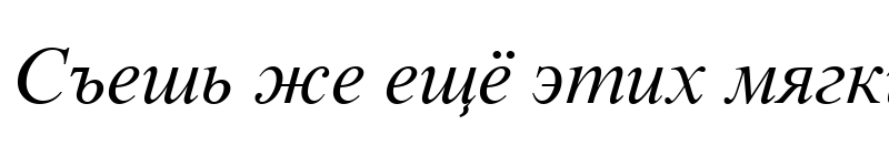 Preview of Times New Roman Cyr Italic