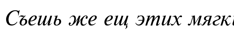 Preview of TimesDL Italic